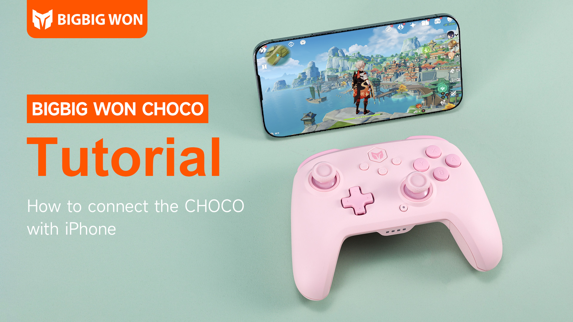 Nintendo Switch - choco 81PHJk6RP0L._UF1000,1000_QL80_.jpg